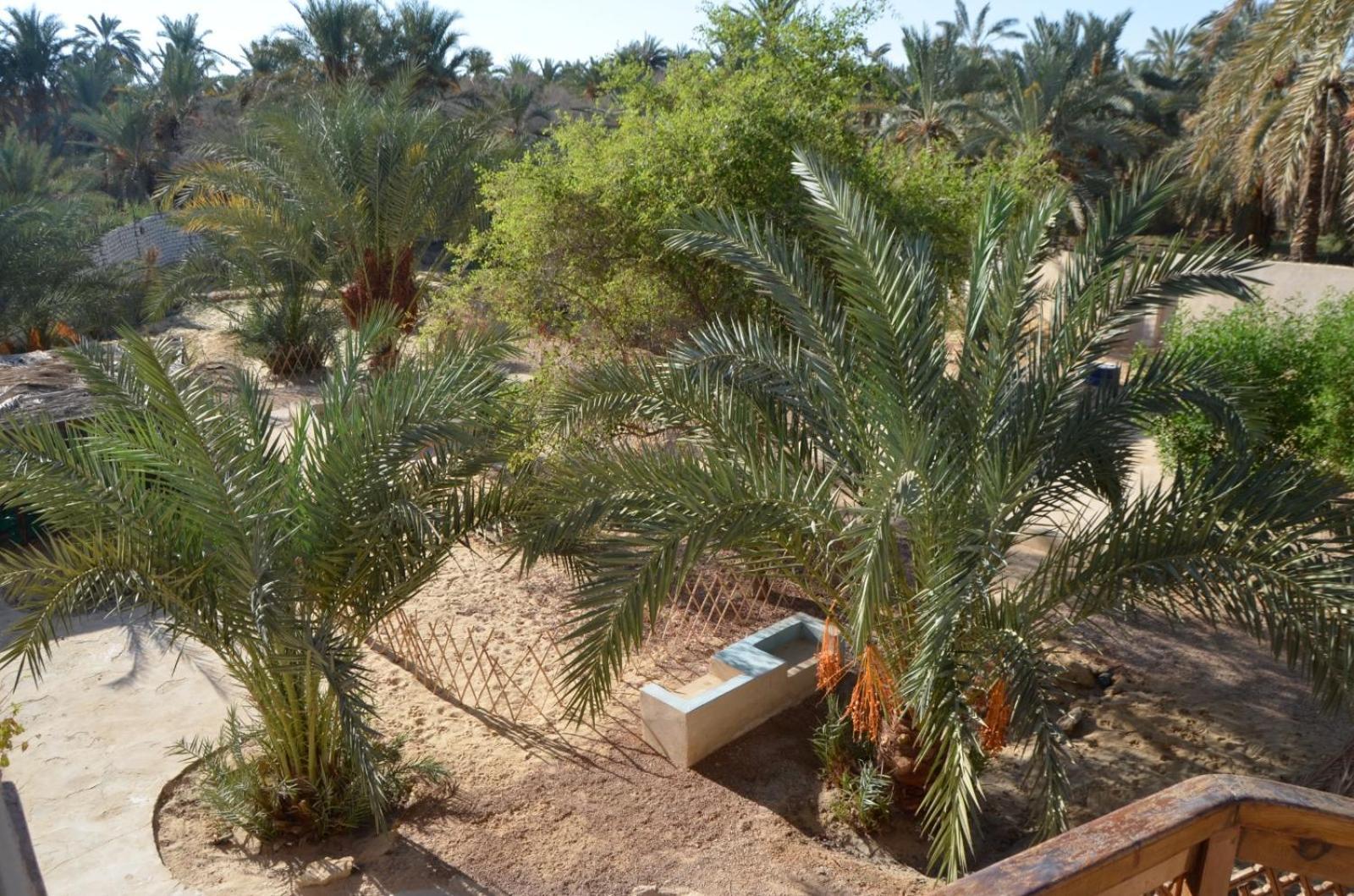 Апартаменты Siwa Spot Siwa Oasis Экстерьер фото